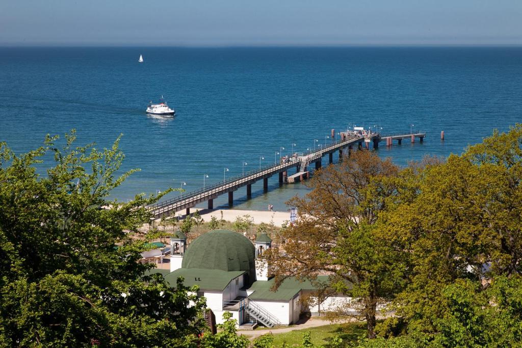 Stranddistel Rügen Hotel Goehren (Ruegen)