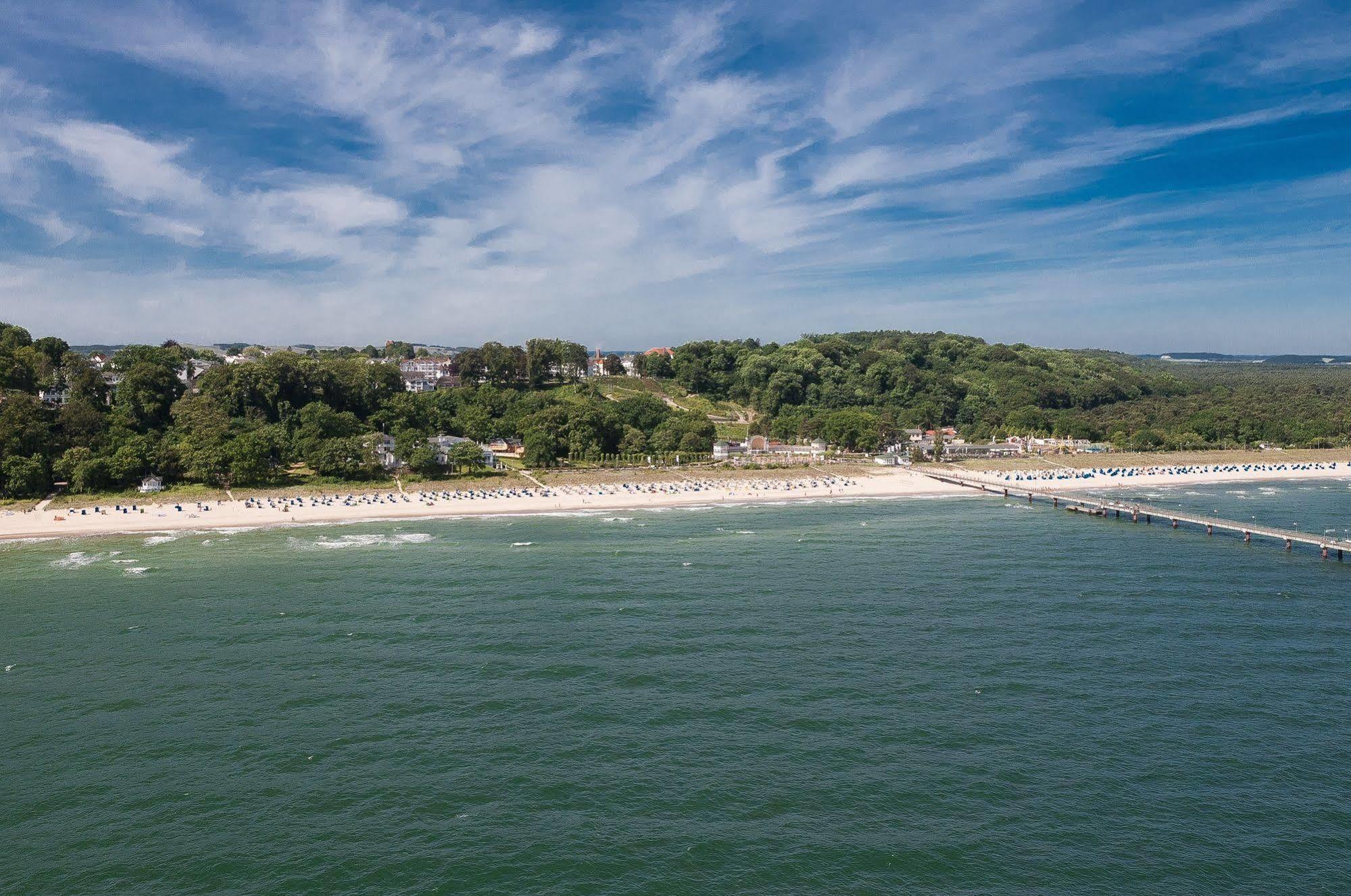 Stranddistel Rügen Goehren (Ruegen)